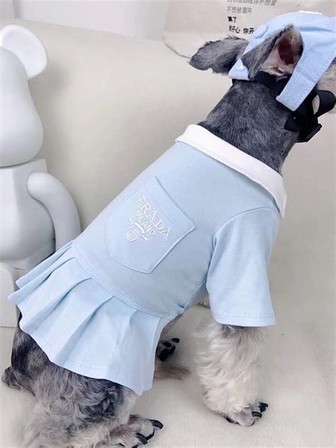 prada dog clothes.